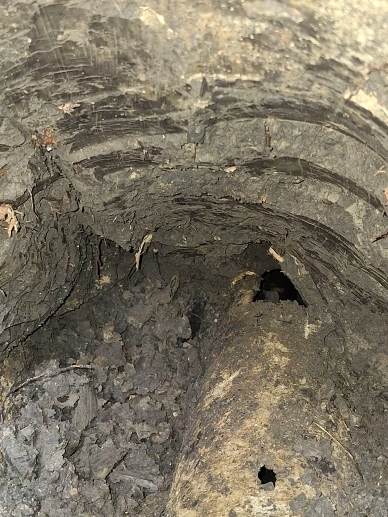 Replacing Plumbing in Concrete Slab